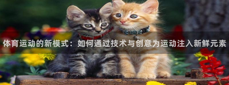 火爆体育在线直播：体育运动的新模式：如何通过技术与创意为运动注入新鲜元素