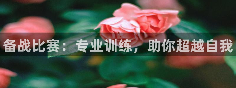 火爆体育背后故事：备战比赛：专业训练，助你超越自我