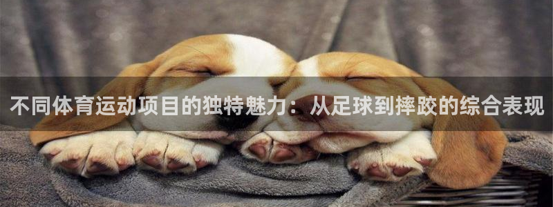 火爆体育背后故事：不同体育运动项目的独特魅力：从足球到摔跤的综合表现