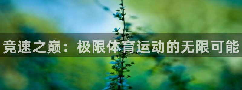 火爆体育APP下载：竞速之巅：极限体育运动的无限可能