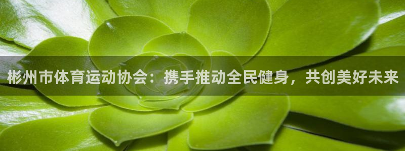 火爆体育背后故事：彬州市体育运动协会：携手推动全民健身，共创美好未来