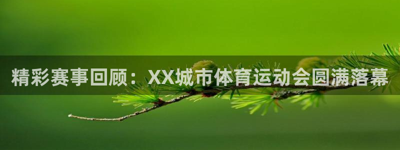 火爆体育下载：精彩赛事回顾：XX城市体育运动会圆满落幕